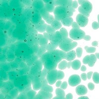 Emerald Green Transparent, Coarse Frit, Fusible