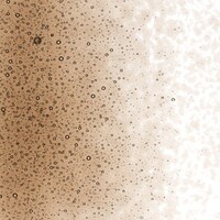 Tan Transparent, Fine Frit, Fusible