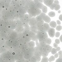 Light Silver Gray Transparent, Coarse Frit, Fusible