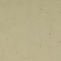 Khaki Transparent, Non-Fusible, Double-rolled, 3 mm, Color Sample, 2x2 in.