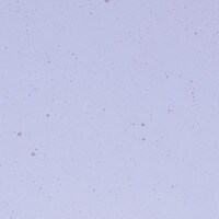 Neo-Lavender Shift Transparent, Non-Fusible, Double-rolled, 3 mm, Color Sample, 2x2 in.