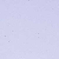 Neo-Lavender Shift Transparent, Non-Fusible, Thin-rolled, 2 mm, Color Sample, 2x2 in.