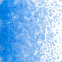 True Blue Transparent, Medium Frit, Fusible