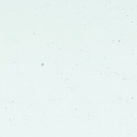 Aqua Blue Tint, Non-Fusible, Double-rolled, 3 mm, Color Sample, 2x2 in.