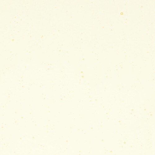 item-img
