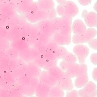 Ruby Pink Striker Tint, Coarse Frit, Fusible