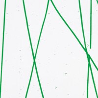 Forest Green Clear Base Collage, Non-Fusible, Single-rolled, 3 mm, Color Sample, 2x2 in.