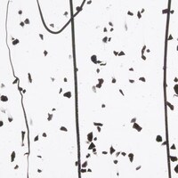 Black Frit, Black Streamers Clear Base Collage, Non-Fusible, Single-rolled, 3 mm, Color Sample, 2x2 in.