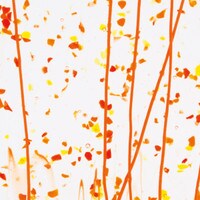 Red, Orange and Yellow Frit, Orange Streamers Clear Base Collage, Non-Fusible, Single-rolled, 3 mm, Color Sample, 2x2 in.