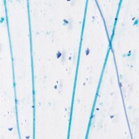 Royal Blue and Turquoise Frit, Cobalt Blue, and Turquoise Streamers Clear Base Collage, Non-Fusible, Single-rolled, 3 mm, Color Sample, 2x2 in.