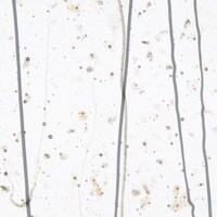 Gray and Bronze Frit, Gray and Vanilla Streamers Clear Base Collage, Non-Fusible, Single-rolled, 3 mm, Color Sample, 2x2 in.