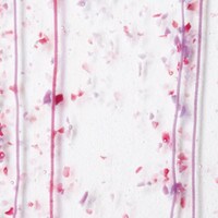 Cranberry and Purple Frit, Cranberry and Purple Streamers Clear Base Collage, Non-Fusible, Single-rolled, 3 mm, Color Sample, 2x2 in.