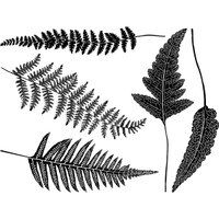 Decal, Ferns, Black