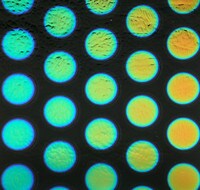 Dichroic on Black Opalescent, Large Dots, Thin-rolled, 2 mm, Fusible, 3x3 in.